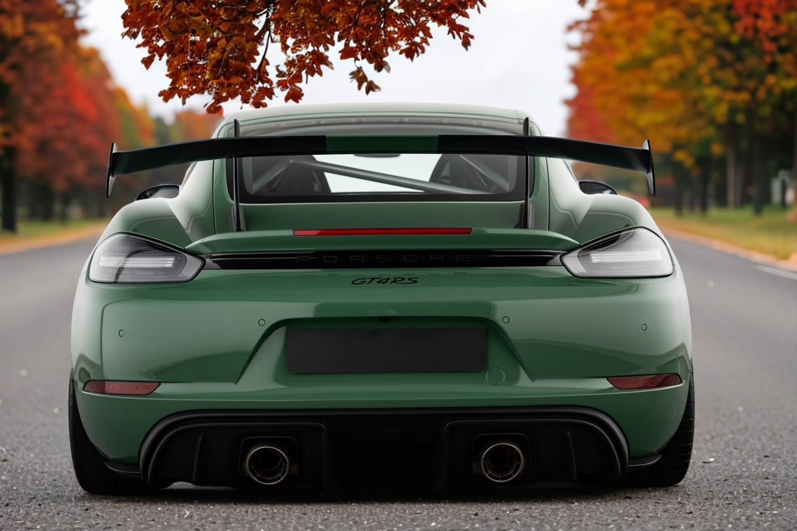 Porsche Cayman GT4 RS PTS Magnesium - imagine 8